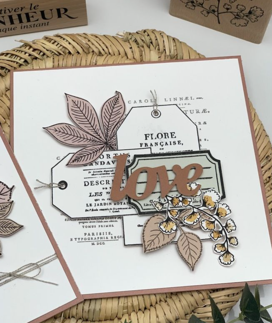 HERBARIUM - Clear Stamps- Florilèges Design