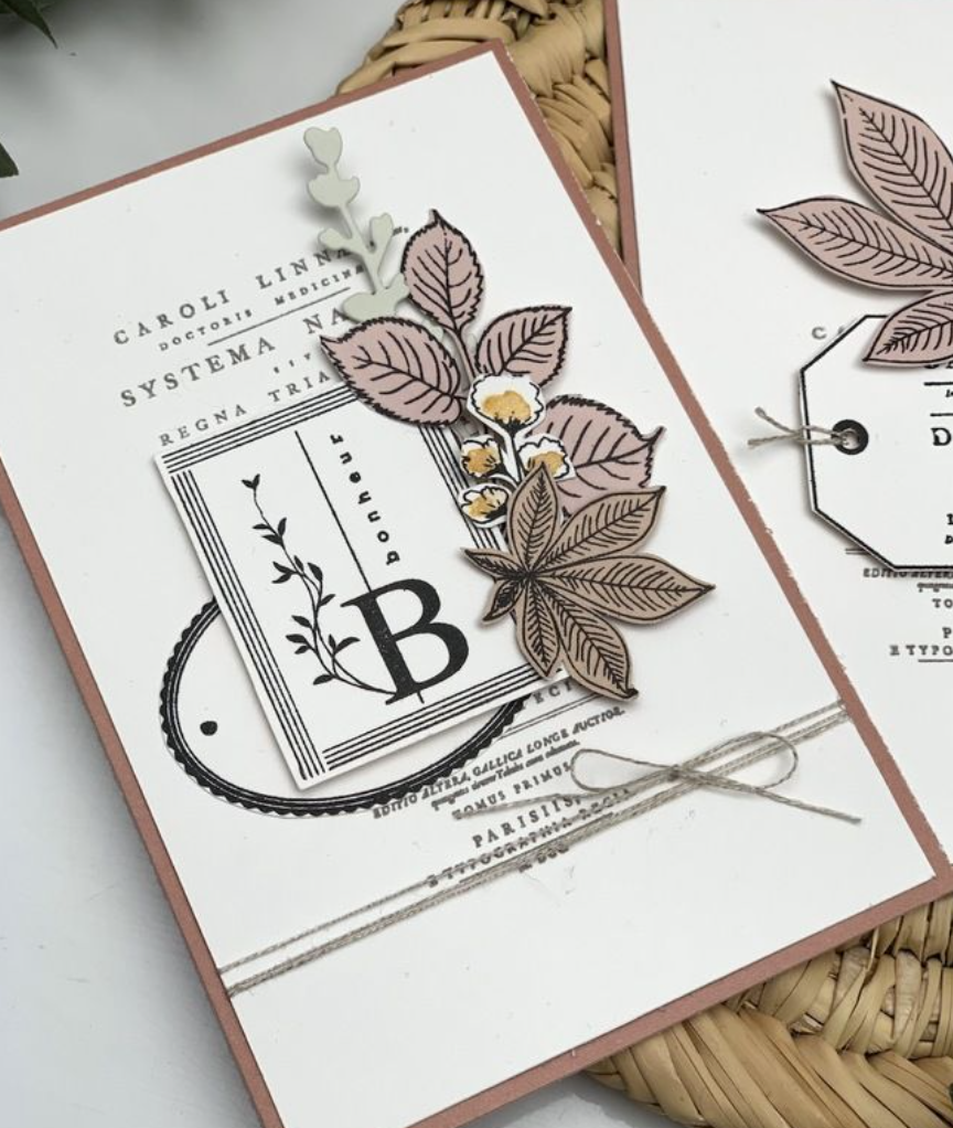 HERBARIUM - Clear Stamps- Florilèges Design