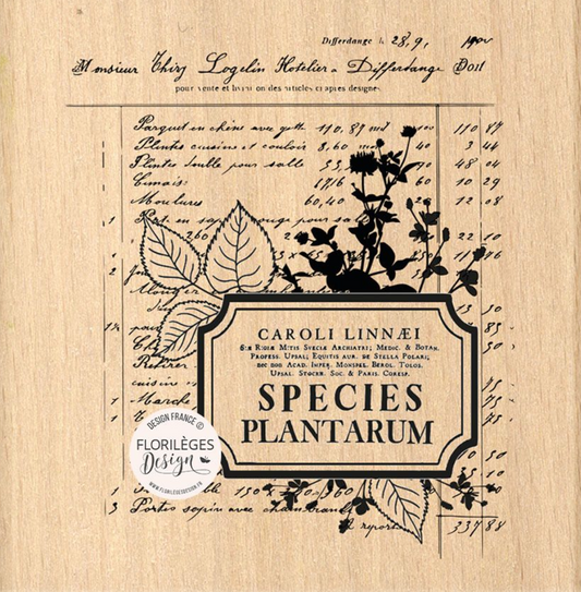 Herbarium Composition - Wooden Stamp - Florilèges Design