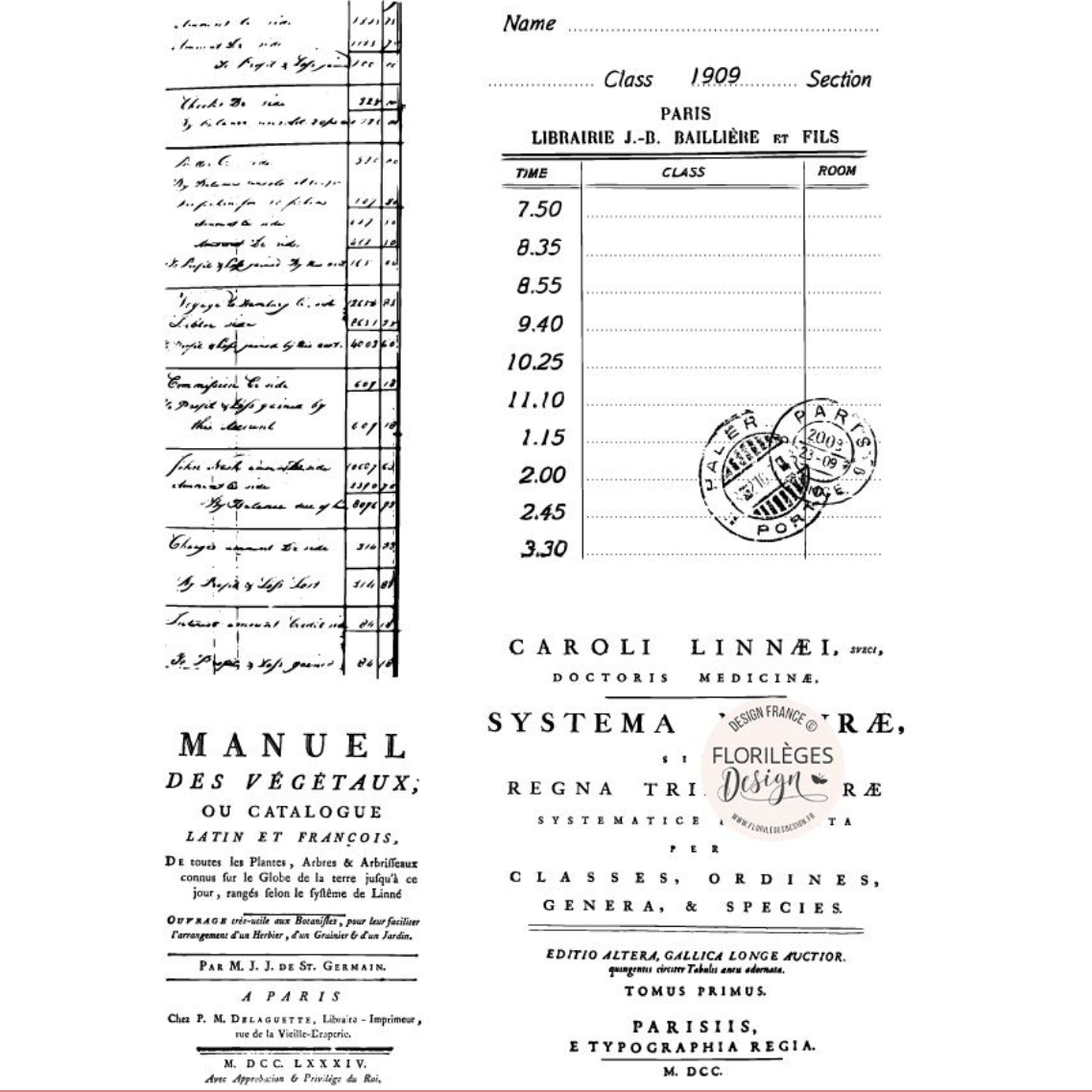 HERBARIUM - Clear Stamps- Florilèges Design