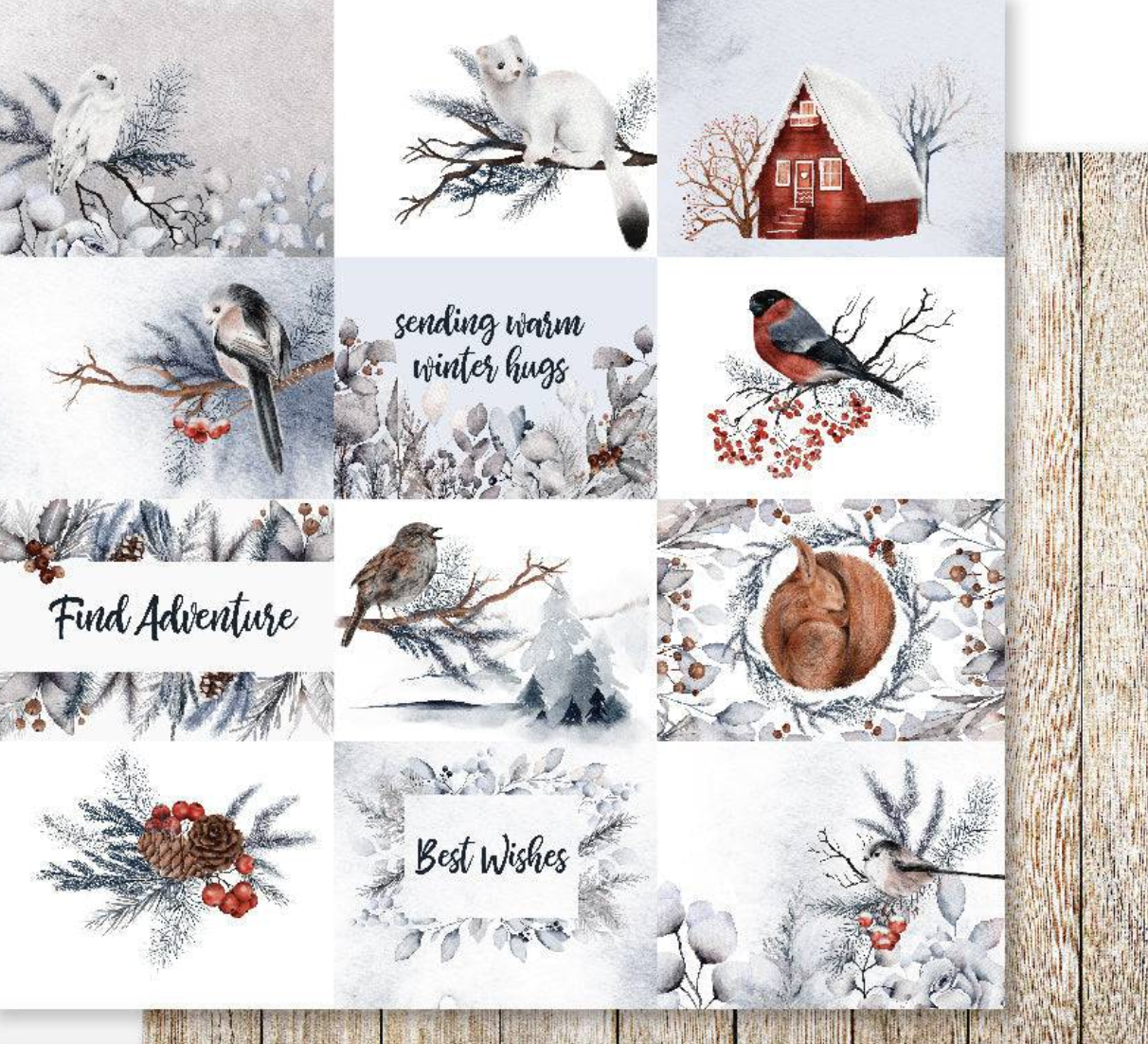 12 x 12 Inch - Winter Woods - Double Sided Paper - Paper Rose