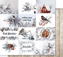 12 x 12 Inch - Winter Woods - Double Sided Paper - Paper Rose