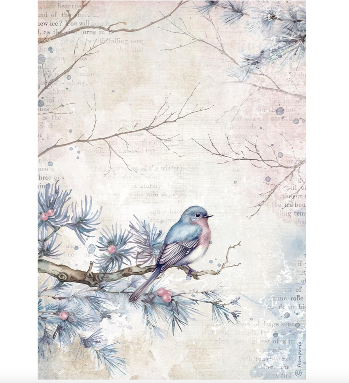 Rice Paper - Bird A4 - Create Happiness - Dewdrops - Stamperia