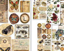 Art Stickers Cabinet Of Curiosities - 5/Pkg - Ciao Bella