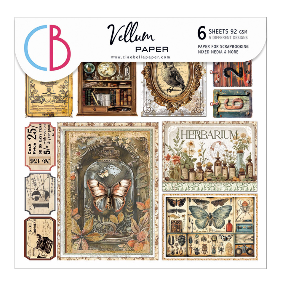 Vellum - Cabinet of Curiosities - Fussy Cut 6"x6" - 6/Pkg - Ciao Bella