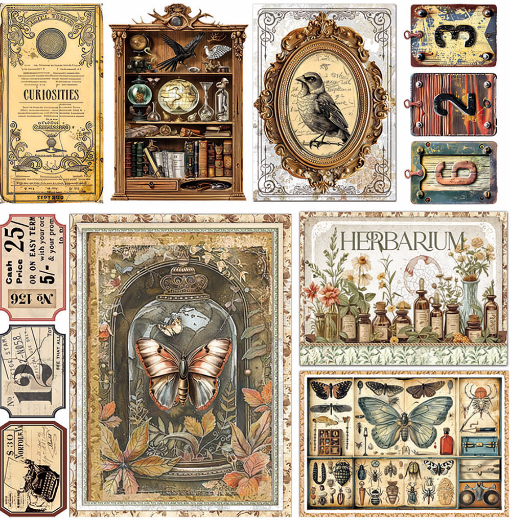 Vellum - Cabinet of Curiosities - Fussy Cut 6"x6" - 6/Pkg - Ciao Bella