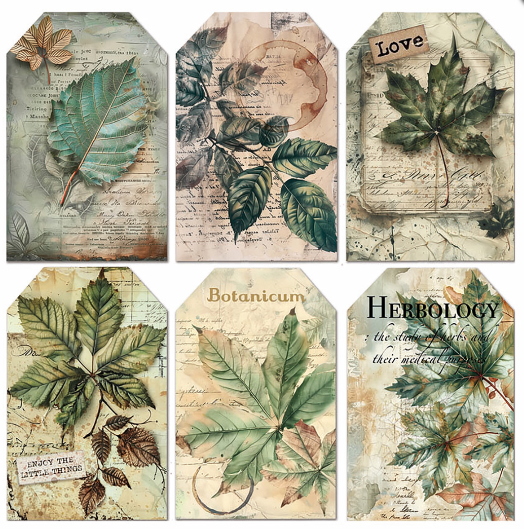 Vellum - Cabinet of Curiosities - Fussy Cut 6"x6" - 6/Pkg - Ciao Bella