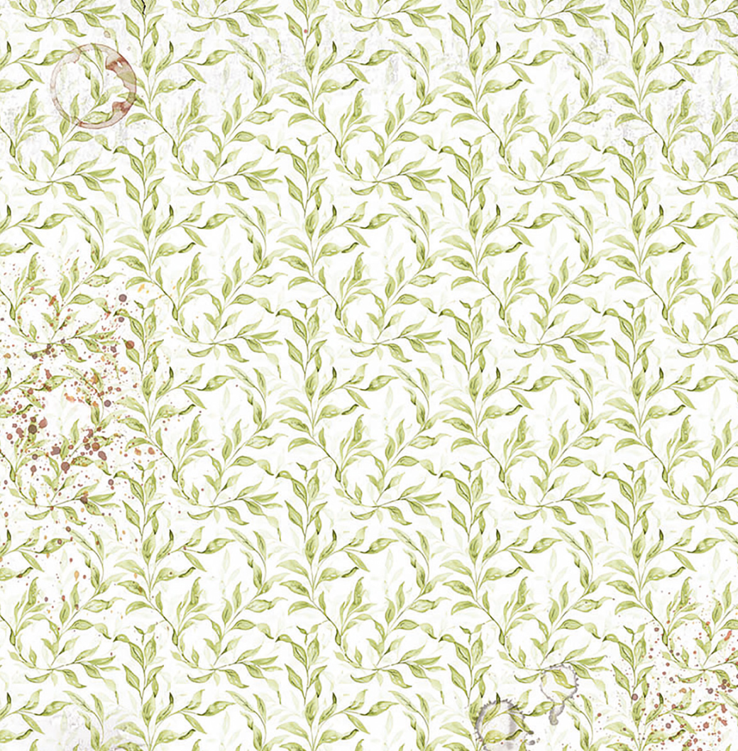 Vellum - Cabinet of Curiosities - Fussy Cut 6"x6" - 6/Pkg - Ciao Bella