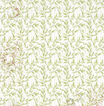 Vellum - Cabinet of Curiosities - Fussy Cut 6