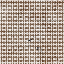 Vellum - Cabinet of Curiosities - Fussy Cut 6