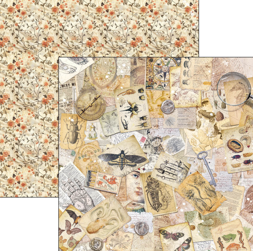 12x12 Paper Pad - Cabinet of Curiosities - Double Sided Paper - 12/Pkg - Ciao Bella