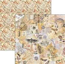12x12 Paper Pad - Cabinet of Curiosities - Double Sided Paper - 12/Pkg - Ciao Bella