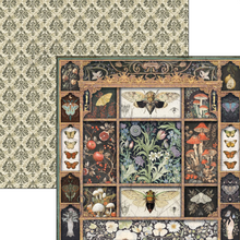 12x12 Paper Pad - Cabinet of Curiosities - Double Sided Paper - 12/Pkg - Ciao Bella