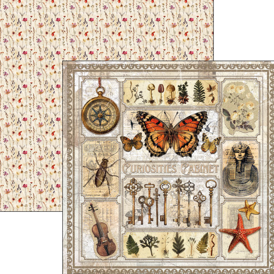 12x12 Paper Pad - Cabinet of Curiosities - Double Sided Paper - 12/Pkg - Ciao Bella