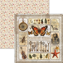 12x12 Paper Pad - Cabinet of Curiosities - Double Sided Paper - 12/Pkg - Ciao Bella