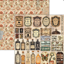 12x12 Paper Pad - Cabinet of Curiosities - Double Sided Paper - 12/Pkg - Ciao Bella