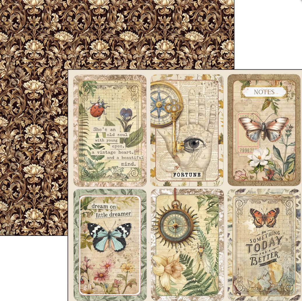 12x12 Paper Pad - Cabinet of Curiosities - Double Sided Paper - 12/Pkg - Ciao Bella