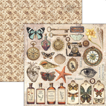 12x12 Paper Pad - Cabinet of Curiosities - Double Sided Paper - 12/Pkg - Ciao Bella