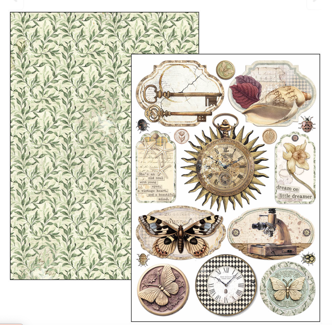 Creative Pad A4 - Cabinet of Curiosities - Double Sided Paper - 9/Pkg- Ciao Bella