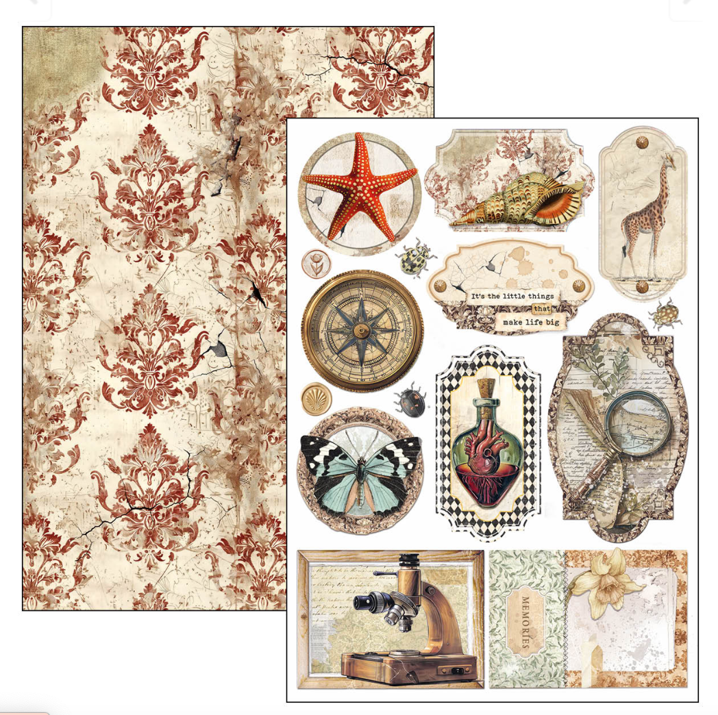 Creative Pad A4 - Cabinet of Curiosities - Double Sided Paper - 9/Pkg- Ciao Bella