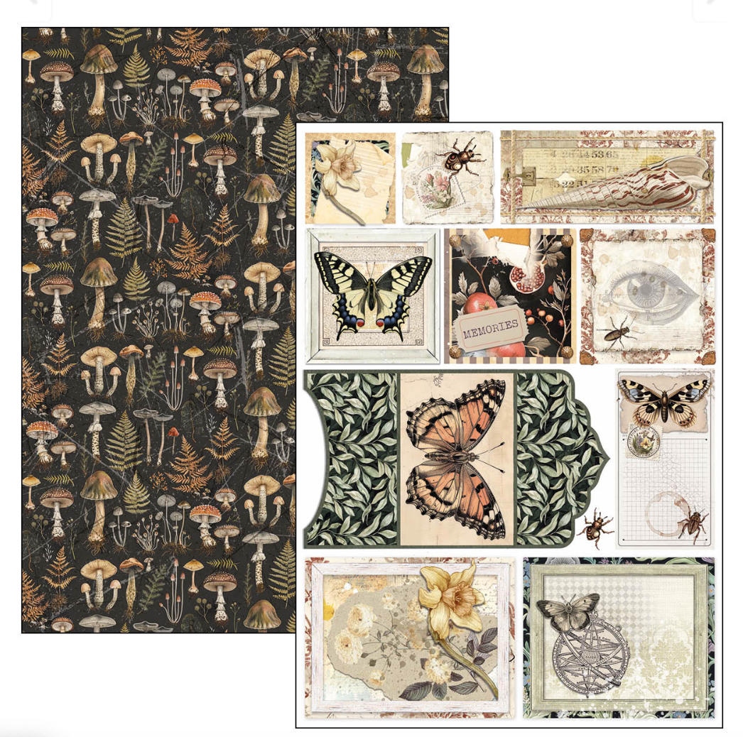 Creative Pad A4 - Cabinet of Curiosities - Double Sided Paper - 9/Pkg- Ciao Bella