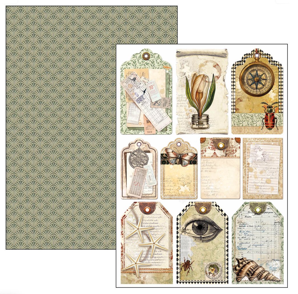 Creative Pad A4 - Cabinet of Curiosities - Double Sided Paper - 9/Pkg- Ciao Bella