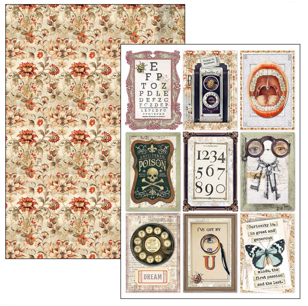 Creative Pad A4 - Cabinet of Curiosities - Double Sided Paper - 9/Pkg- Ciao Bella
