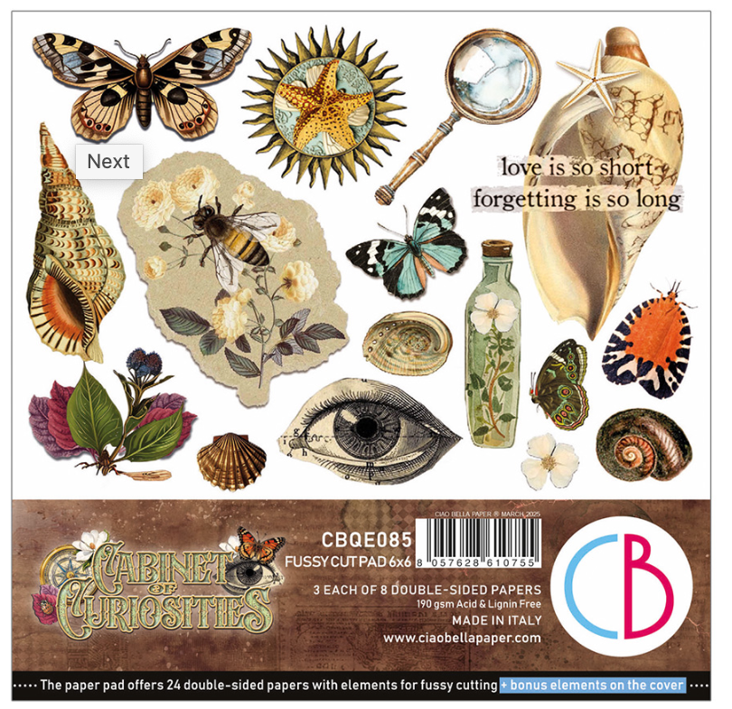 6x6 - Cabinet of Curiosities - Double Sided Paper - 24/Pkg - Ciao Bella