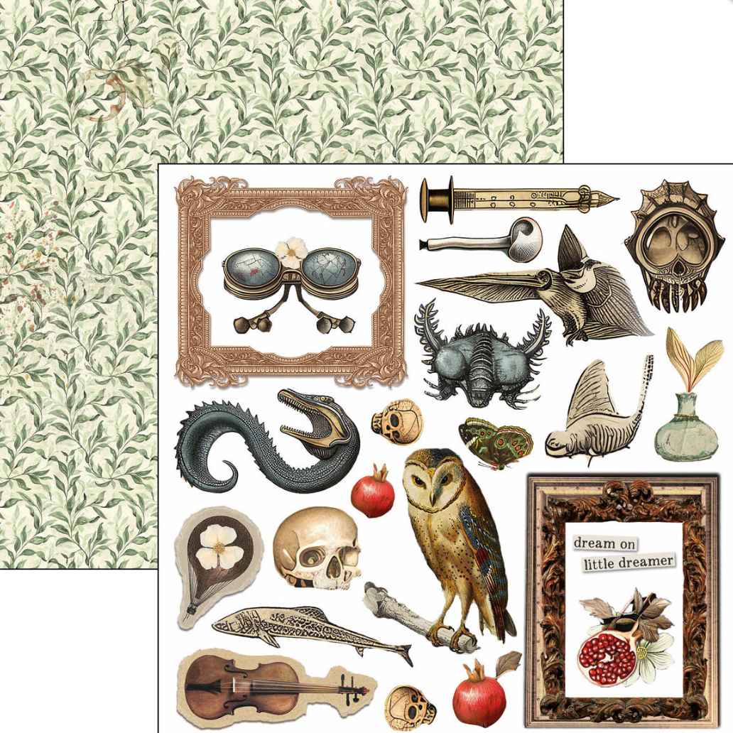 6x6 - Cabinet of Curiosities - Double Sided Paper - 24/Pkg - Ciao Bella