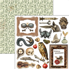 6x6 - Cabinet of Curiosities - Double Sided Paper - 24/Pkg - Ciao Bella