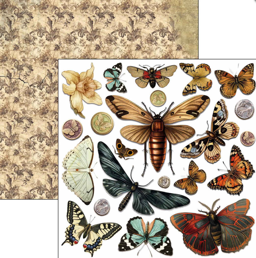 6x6 - Cabinet of Curiosities - Double Sided Paper - 24/Pkg - Ciao Bella