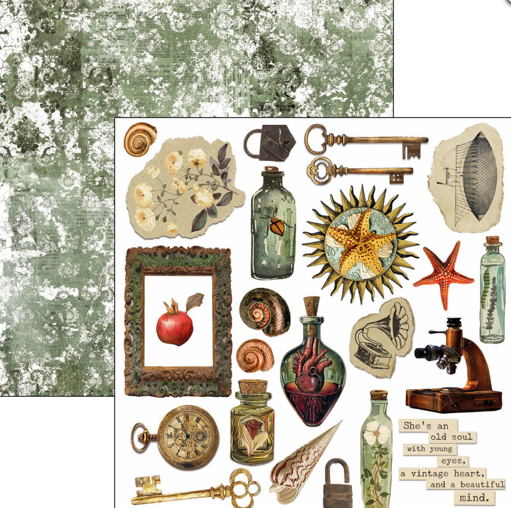 6x6 - Cabinet of Curiosities - Double Sided Paper - 24/Pkg - Ciao Bella