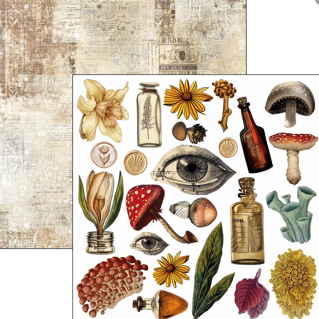 6x6 - Cabinet of Curiosities - Double Sided Paper - 24/Pkg - Ciao Bella