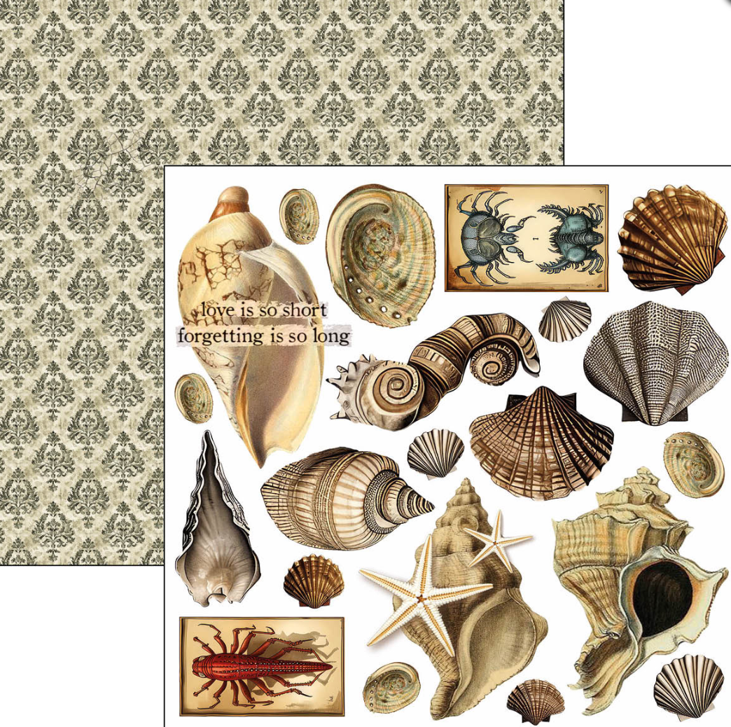 6x6 - Cabinet of Curiosities - Double Sided Paper - 24/Pkg - Ciao Bella