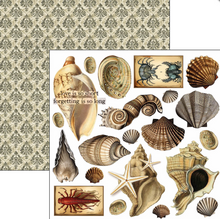 6x6 - Cabinet of Curiosities - Double Sided Paper - 24/Pkg - Ciao Bella