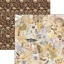 12x12 Patterns Pad - Cabinet of Curiosities - Double Sided Paper - 8/Pkg - Ciao Bella