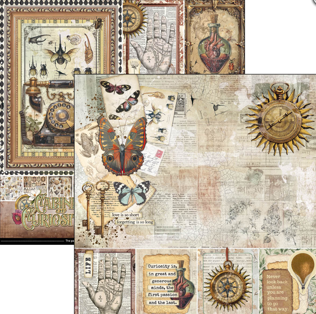 12x12 Paper Pad - Cabinet of Curiosities - Double Sided Paper - 12/Pkg - Ciao Bella