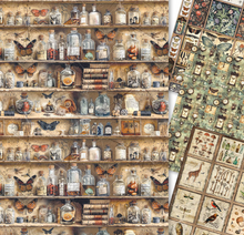 Rice Paper A4 - Cabinet of Curiosities - MIXED 4/Pkg - Ciao Bella