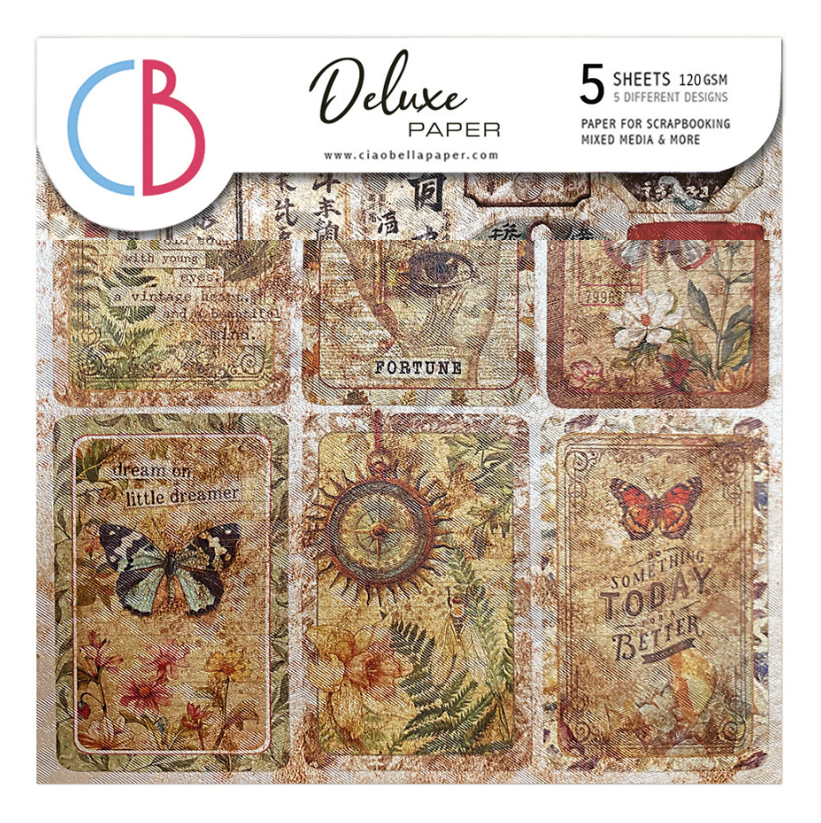 6x6 Deluxe Paper - Cabinet of Curiosities - Paper Pearl-Copper - 5/Pkg - Ciao Bella