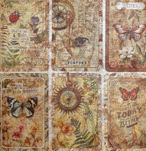 6x6 Deluxe Paper - Cabinet of Curiosities - Paper Pearl-Copper - 5/Pkg - Ciao Bella