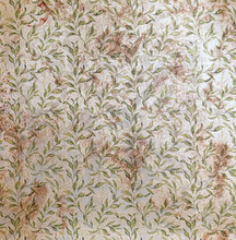 6x6 Deluxe Paper - Cabinet of Curiosities - Paper Pearl-Copper - 5/Pkg - Ciao Bella