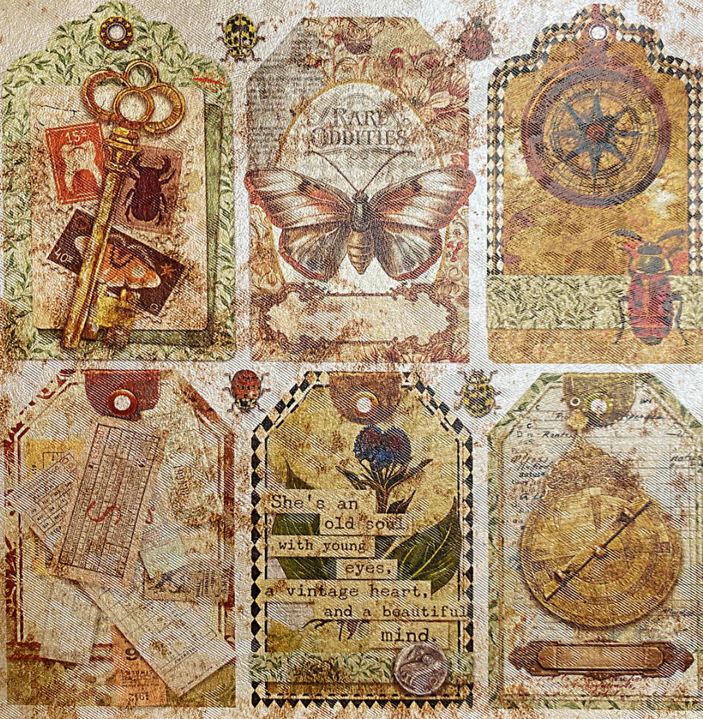 6x6 Deluxe Paper - Cabinet of Curiosities - Paper Pearl-Copper - 5/Pkg - Ciao Bella