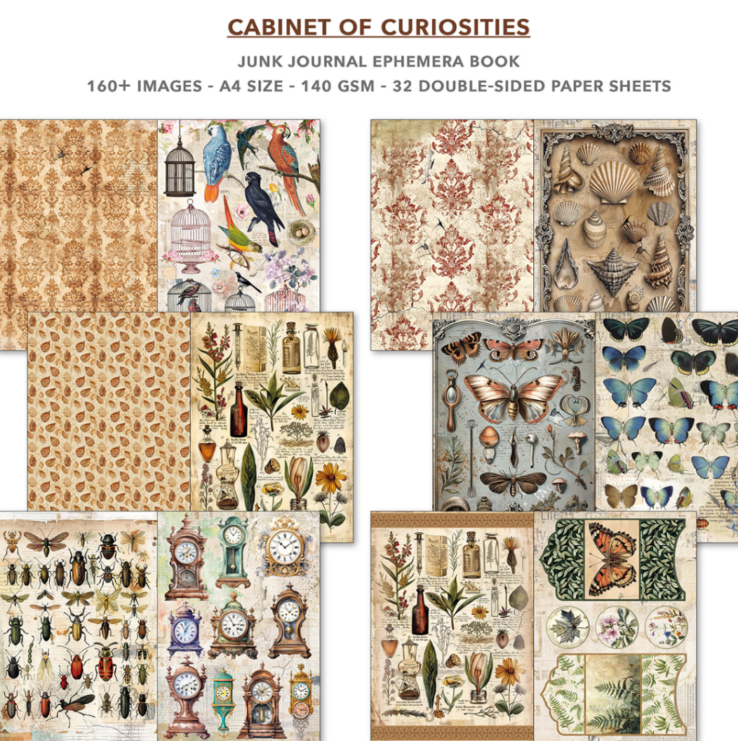 A4 Ephemera Book - Cabinet of Curiosities - 32/Pkg - Ciao Bella