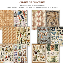 A4 Ephemera Book - Cabinet of Curiosities - 32/Pkg - Ciao Bella