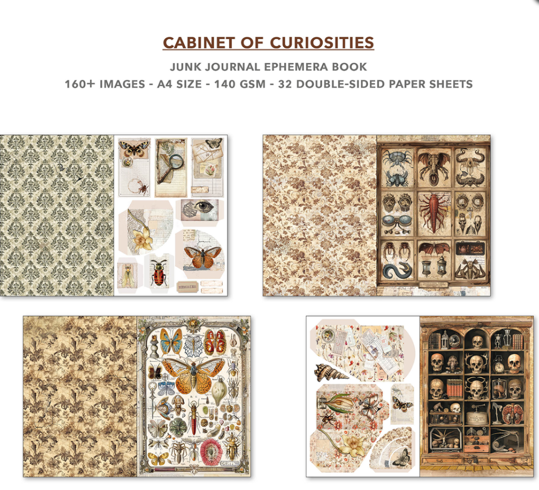 A4 Ephemera Book - Cabinet of Curiosities - 32/Pkg - Ciao Bella