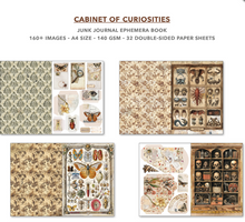 A4 Ephemera Book - Cabinet of Curiosities - 32/Pkg - Ciao Bella
