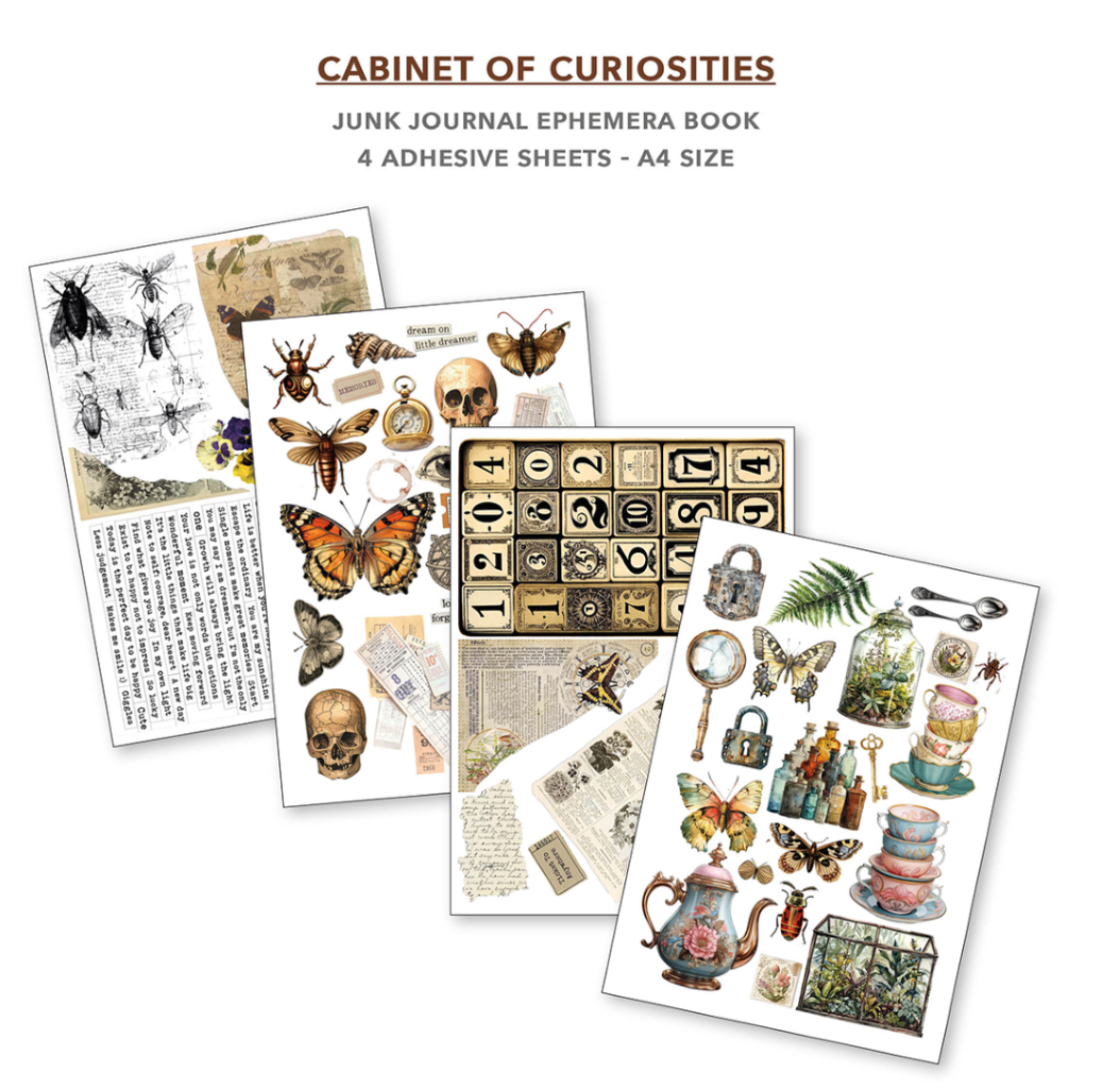 A4 Ephemera Book - Cabinet of Curiosities - 32/Pkg - Ciao Bella