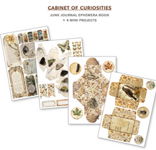 A4 Ephemera Book - Cabinet of Curiosities - 32/Pkg - Ciao Bella