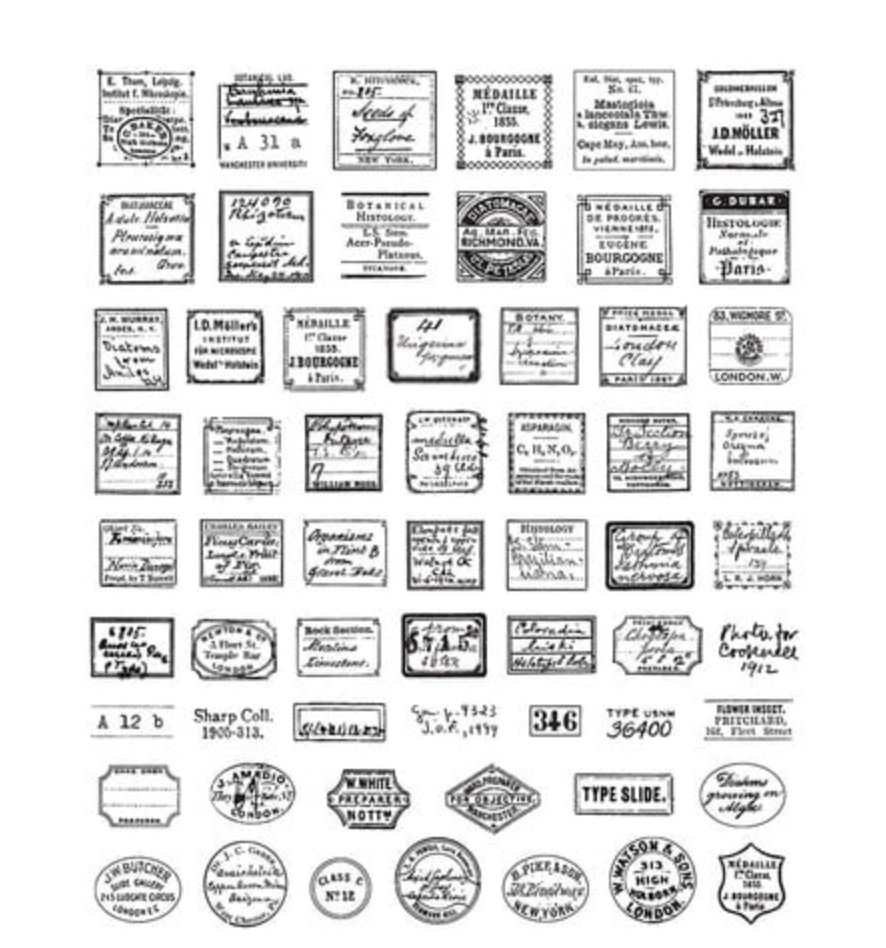 Tim Holtz - Curator - Cling Mounted Rubber Stamp Set