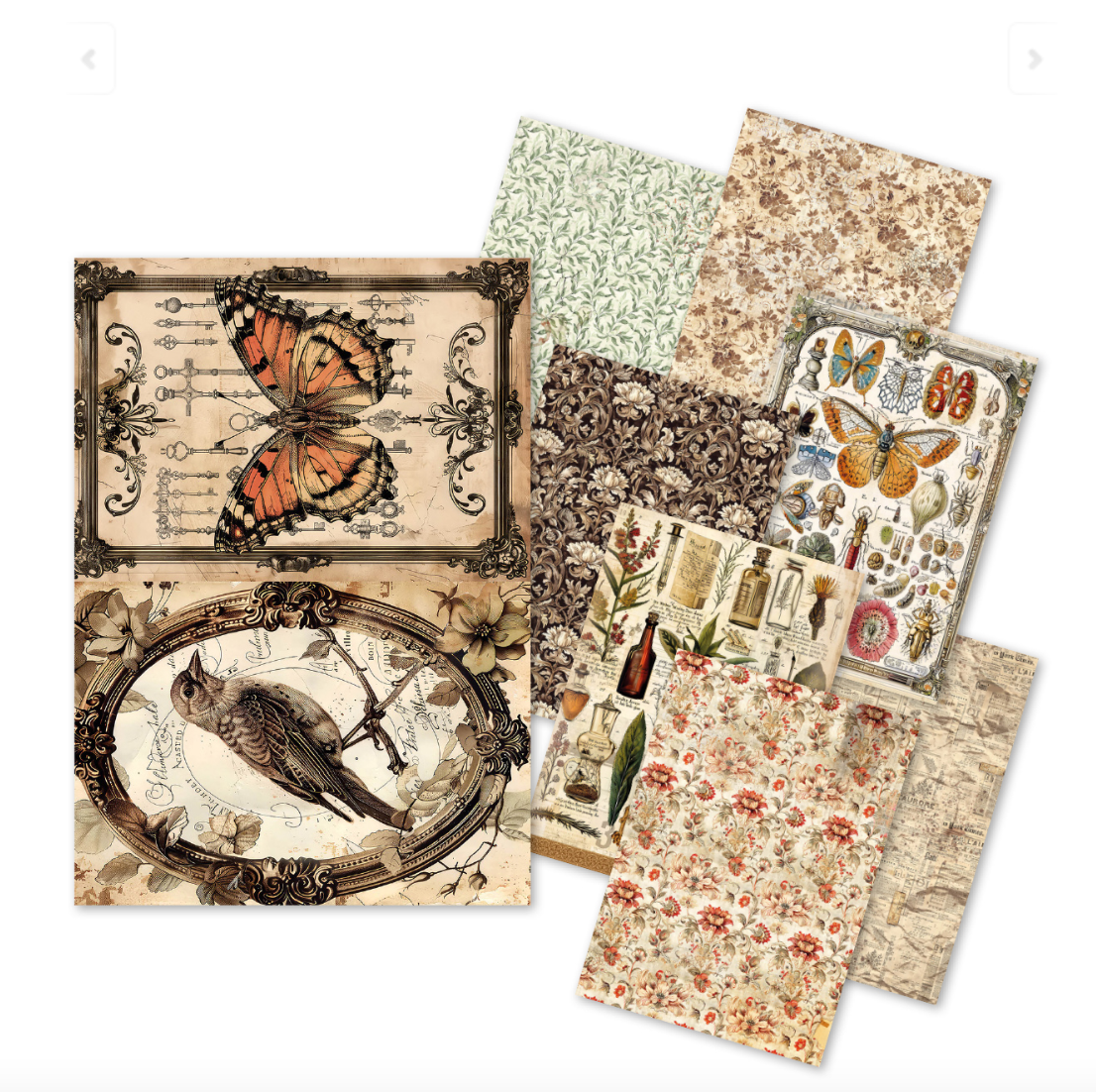 A5 Rice Paper Pack - Cabinet of Curiosities - 8 Sheets - Ciao Bella